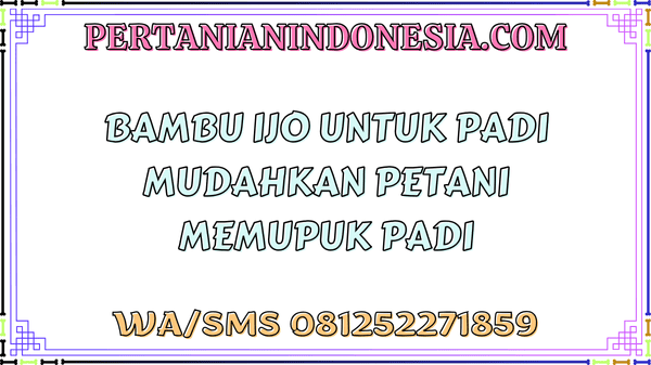 Bambu Ijo Untuk Padi Mudahkan Petani Memupuk Padi